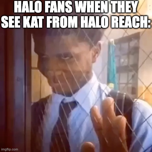 Guy staring through window | HALO FANS WHEN THEY SEE KAT FROM HALO REACH: | image tagged in guy staring through window | made w/ Imgflip meme maker