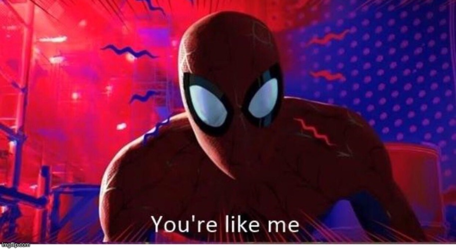 You're Like Me | image tagged in you're like me | made w/ Imgflip meme maker