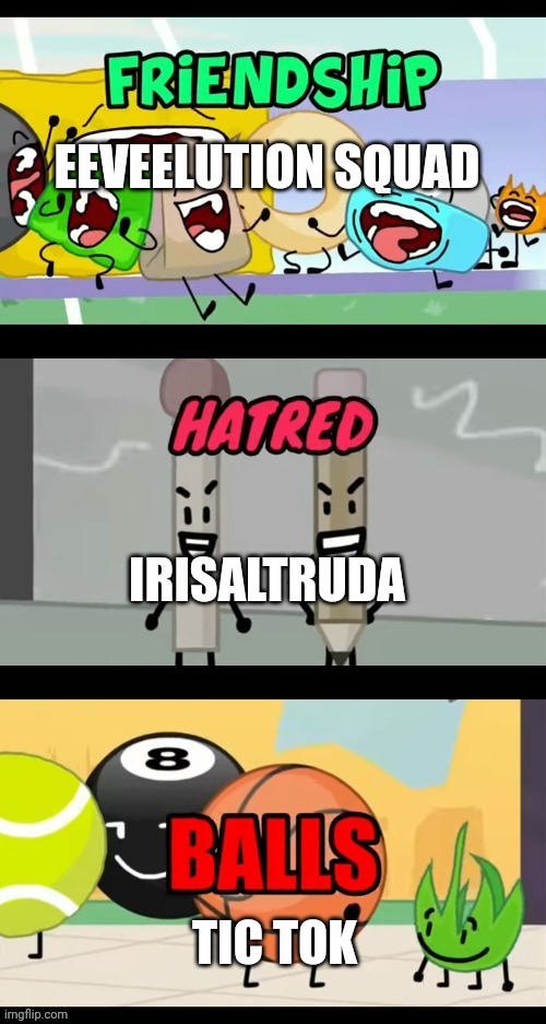Friendship hatred and balls | EEVEELUTION SQUAD; IRISALTRUDA; TIC TOK | image tagged in friendship hatred and balls | made w/ Imgflip meme maker