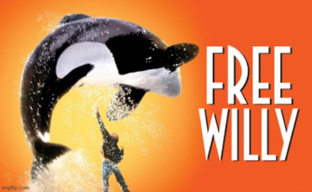 Free Willy | image tagged in will | made w/ Imgflip meme maker