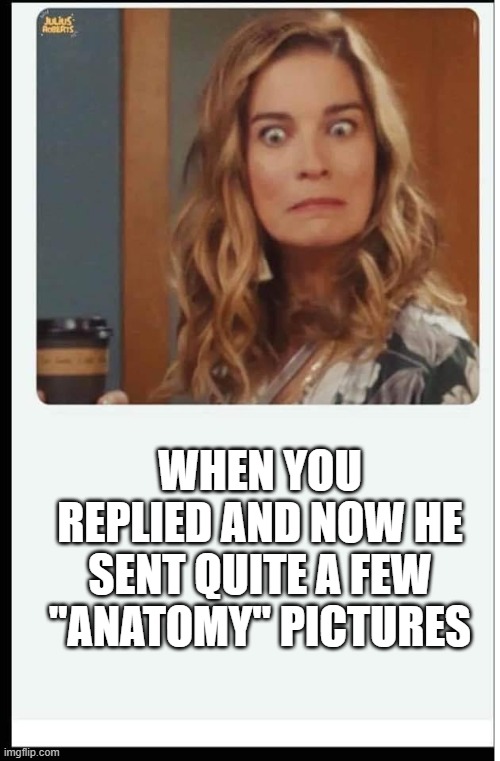 Woman shocked | WHEN YOU REPLIED AND NOW HE SENT QUITE A FEW "ANATOMY" PICTURES | image tagged in surprised woman,pics | made w/ Imgflip meme maker