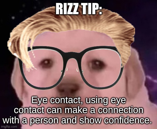 uncomfortable rizz tips pt 18 | RIZZ TIP:; Eye contact, using eye contact can make a connection with a person and show confidence. | image tagged in sp3x_ puppers,uncomfortable rizz tips | made w/ Imgflip meme maker