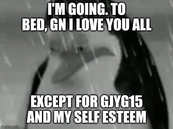 Sadge | I'M GOING. TO BED, GN I LOVE YOU ALL; EXCEPT FOR GJYG15 AND MY SELF ESTEEM | image tagged in sadge | made w/ Imgflip meme maker