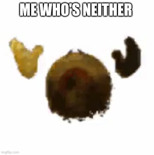 ME WHO'S NEITHER | made w/ Imgflip meme maker