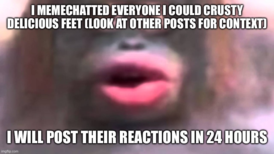 sowwy | I MEMECHATTED EVERYONE I COULD CRUSTY DELICIOUS FEET (LOOK AT OTHER POSTS FOR CONTEXT); I WILL POST THEIR REACTIONS IN 24 HOURS | made w/ Imgflip meme maker