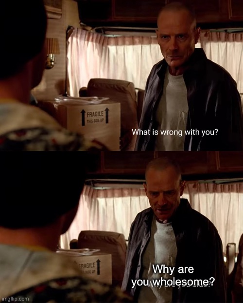 Why are You BlUe | Why are you wholesome? | image tagged in why are you blue | made w/ Imgflip meme maker