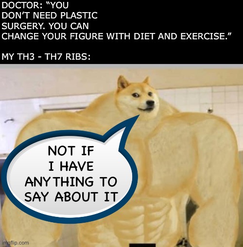 Buff Doge | DOCTOR: “YOU DON’T NEED PLASTIC SURGERY. YOU CAN CHANGE YOUR FIGURE WITH DIET AND EXERCISE.”
 
MY TH3 - TH7 RIBS:; NOT IF I HAVE ANYTHING TO SAY ABOUT IT | image tagged in buff doge,ribs,plastic surgery,doctor,beauty,surgeon | made w/ Imgflip meme maker