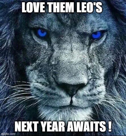 detroit lions | LOVE THEM LEO'S; NEXT YEAR AWAITS ! | image tagged in detroit lions | made w/ Imgflip meme maker