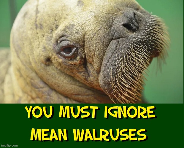 Worse than Negative or Mean People... Remember: | image tagged in vince vance,walrus,memes,mean people,mean girls,ignore | made w/ Imgflip meme maker