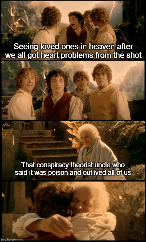Hobbits shot | Seeing loved ones in heaven after we all got heart problems from the shot; That conspiracy theorist uncle who said it was poison and outlived all of us | image tagged in hobbits reunion rivendell,covid vaccine | made w/ Imgflip meme maker