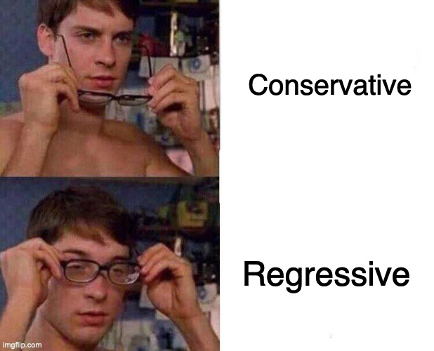 Opposite of progressive + sums up their motivations pretty well | Conservative; Regressive | image tagged in spiderman glasses,memes,funny,conservatives,politics | made w/ Imgflip meme maker