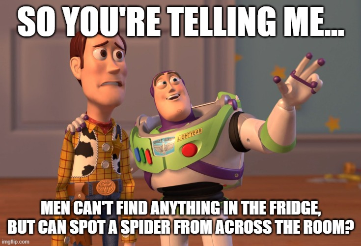 X, X Everywhere Meme | SO YOU'RE TELLING ME... MEN CAN'T FIND ANYTHING IN THE FRIDGE, BUT CAN SPOT A SPIDER FROM ACROSS THE ROOM? | image tagged in memes,x x everywhere | made w/ Imgflip meme maker