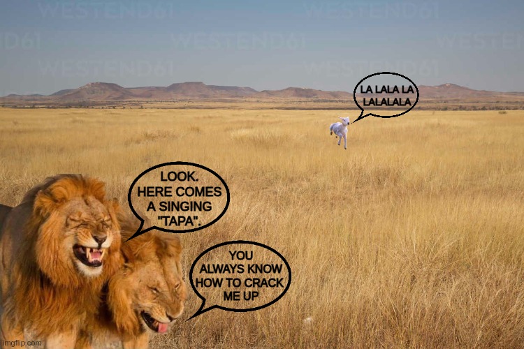 Nature isn't vegan..... | LA LALA LA
LALALALA; LOOK.
HERE COMES
A SINGING
"TAPA". YOU
ALWAYS KNOW
HOW TO CRACK 
ME UP | image tagged in funny,meme,vegan,nature,lions,so funny | made w/ Imgflip meme maker