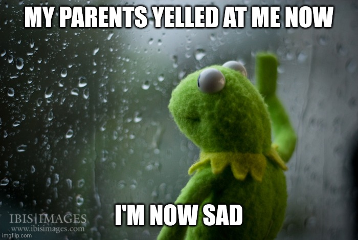 I'm now sad | MY PARENTS YELLED AT ME NOW; I'M NOW SAD | image tagged in kermit the frog rainy day,sad,parents,depressed | made w/ Imgflip meme maker