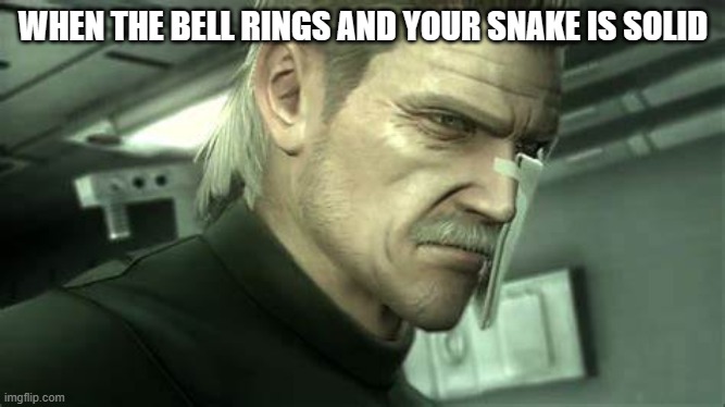always happends | WHEN THE BELL RINGS AND YOUR SNAKE IS SOLID | image tagged in sad solid snake | made w/ Imgflip meme maker