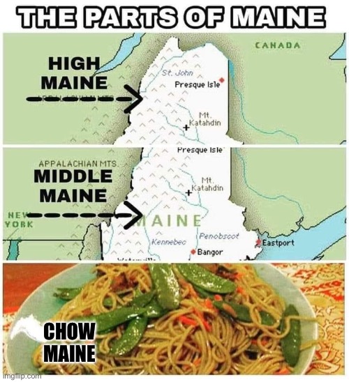 Maine | CHOW
MAINE | image tagged in maine,united states,ohio state | made w/ Imgflip meme maker