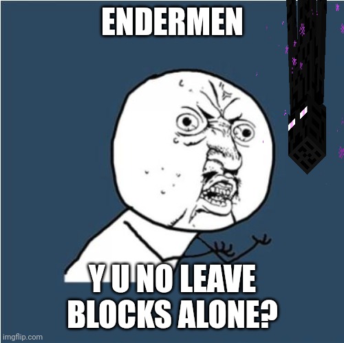 Endermen love blocks | ENDERMEN; Y U NO LEAVE BLOCKS ALONE? | image tagged in y u no,minecraft,memes,classic memes,enderman,rage comics | made w/ Imgflip meme maker