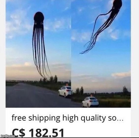 mfing jellyfisg | made w/ Imgflip meme maker