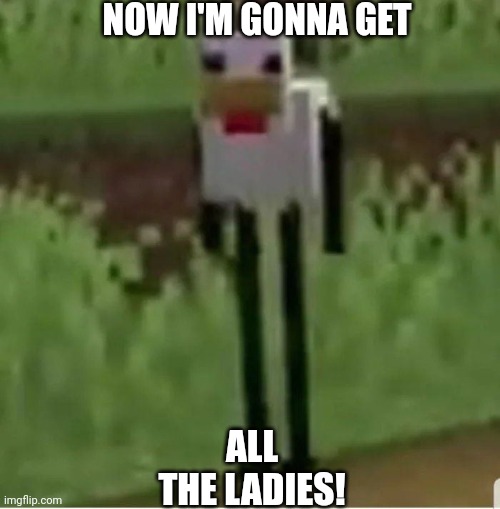 Cursed Minecraft chicken | NOW I'M GONNA GET; ALL
THE LADIES! | image tagged in cursed minecraft chicken,funny,cursed image,poultry,bird,minecraft | made w/ Imgflip meme maker