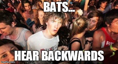 Sudden Clarity Clarence | BATS... HEAR BACKWARDS | image tagged in memes,sudden clarity clarence | made w/ Imgflip meme maker