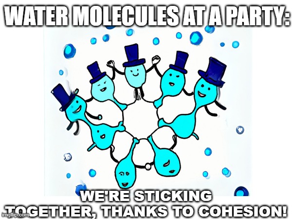 WATER MOLECULES AT A PARTY:; WE'RE STICKING TOGETHER, THANKS TO COHESION! | image tagged in science | made w/ Imgflip meme maker