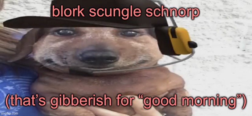 chucklenuts | blork scungle schnorp; (that’s gibberish for “good morning”) | image tagged in chucklenuts | made w/ Imgflip meme maker