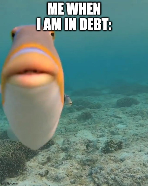 staring fish | ME WHEN I AM IN DEBT: | image tagged in staring fish | made w/ Imgflip meme maker