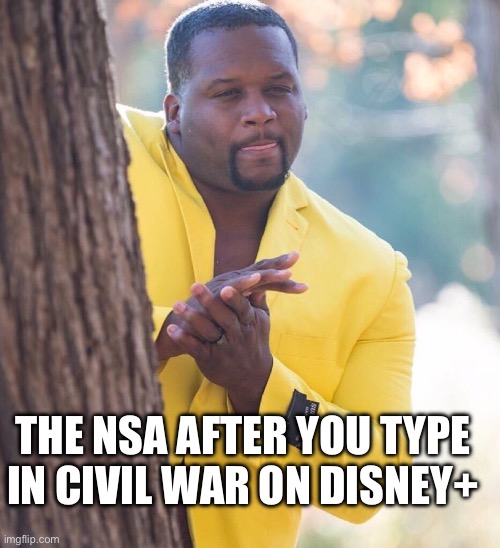 NSA Surveillance | THE NSA AFTER YOU TYPE IN CIVIL WAR ON DISNEY+ | image tagged in black guy hiding behind tree | made w/ Imgflip meme maker