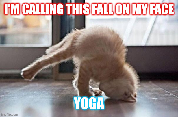 Gracefully falling on my face | I'M CALLING THIS FALL ON MY FACE; YOGA | image tagged in yoga kitty,falling down,memes,clumsy,graceless,there are no accidents | made w/ Imgflip meme maker