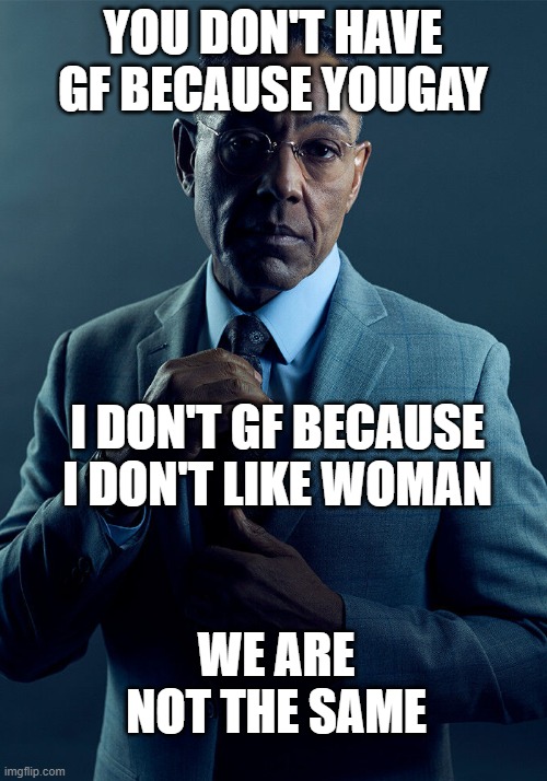 Gus Fring we are not the same | YOU DON'T HAVE GF BECAUSE YOUGAY; I DON'T GF BECAUSE I DON'T LIKE WOMAN; WE ARE NOT THE SAME | image tagged in gus fring we are not the same | made w/ Imgflip meme maker