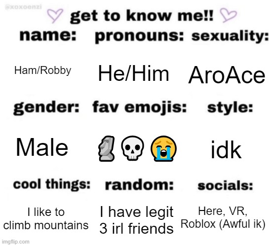 get to know me but better | Ham/Robby; He/Him; AroAce; 🗿💀😭; idk; Male; Here, VR, Roblox (Awful ik); I have legit 3 irl friends; I like to climb mountains | image tagged in get to know me but better | made w/ Imgflip meme maker