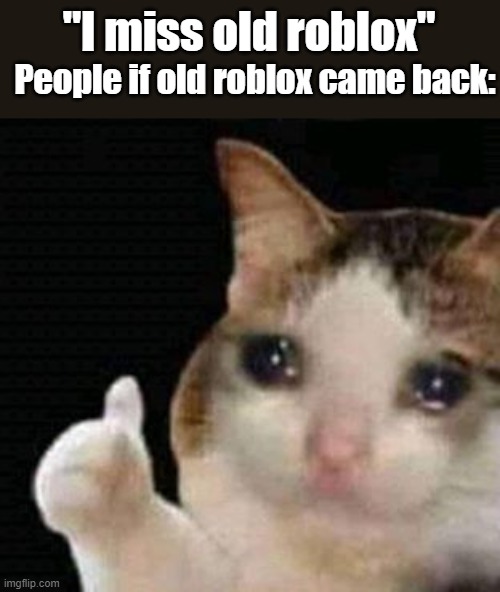 sad thumbs up cat | "I miss old roblox"; People if old roblox came back: | image tagged in sad thumbs up cat | made w/ Imgflip meme maker