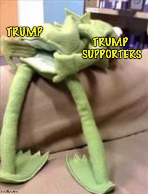 Just Trumpuppets | image tagged in kermit | made w/ Imgflip meme maker