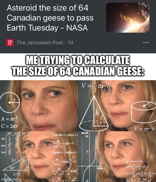 Anything but the metric system | ME TRYING TO CALCULATE THE SIZE OF 64 CANADIAN GEESE: | image tagged in calculating meme,funny | made w/ Imgflip meme maker