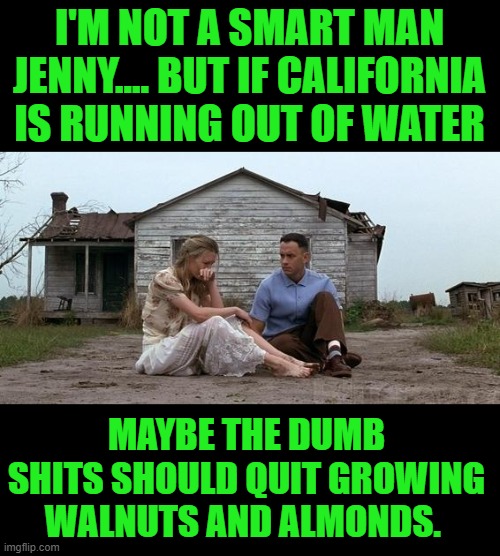 just saying | I'M NOT A SMART MAN JENNY.... BUT IF CALIFORNIA IS RUNNING OUT OF WATER; MAYBE THE DUMB SHITS SHOULD QUIT GROWING WALNUTS AND ALMONDS. | image tagged in forrest gump and jenny,democrat brilliance | made w/ Imgflip meme maker