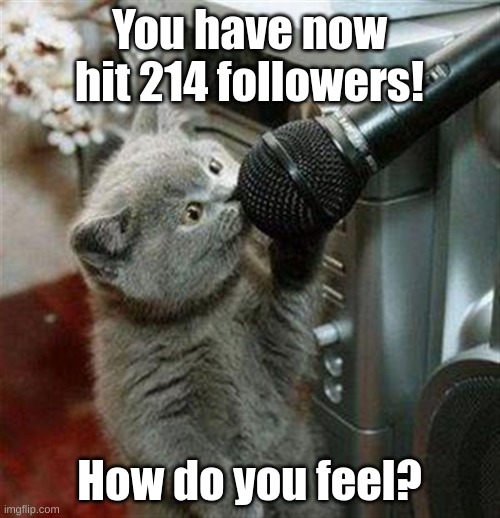 Cat microphone | You have now hit 214 followers! How do you feel? | image tagged in cat microphone | made w/ Imgflip meme maker