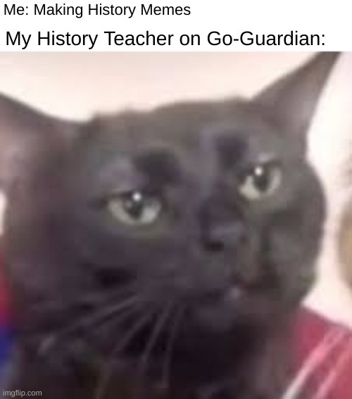 Me: Making History Memes; My History Teacher on Go-Guardian: | made w/ Imgflip meme maker