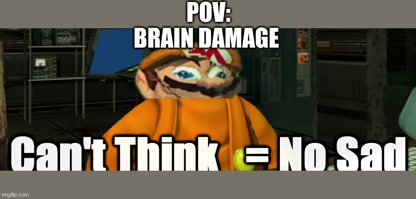 brain damge | POV: BRAIN DAMAGE | image tagged in smg4 | made w/ Imgflip meme maker