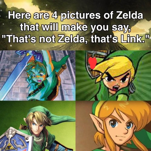 link isn't zelda, | made w/ Imgflip meme maker