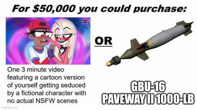"For $50,000 you could purchase:" | GBU-16 PAVEWAY II 1000-LB | image tagged in for 50 000 you could purchase | made w/ Imgflip meme maker