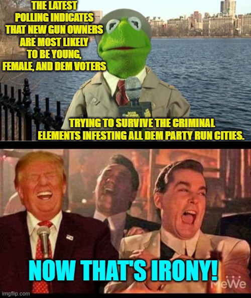 Do Dem Party voters even comprehend irony? | THE LATEST POLLING INDICATES THAT NEW GUN OWNERS ARE MOST LIKELY TO BE YOUNG, FEMALE, AND DEM VOTERS; TRYING TO SURVIVE THE CRIMINAL ELEMENTS INFESTING ALL DEM PARTY RUN CITIES. NOW THAT'S IRONY! | image tagged in kermit news report | made w/ Imgflip meme maker