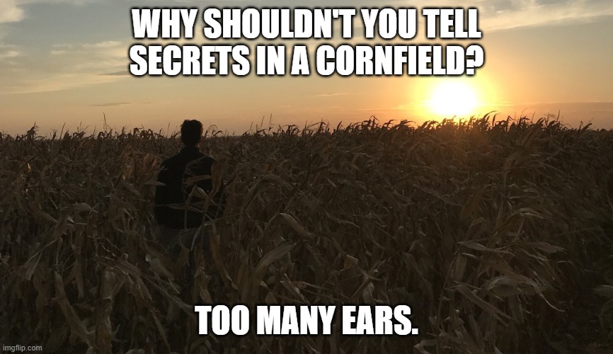 Daily Bad Dad Joke January 30, 2024 | WHY SHOULDN'T YOU TELL SECRETS IN A CORNFIELD? TOO MANY EARS. | image tagged in james comey in a cornfield | made w/ Imgflip meme maker