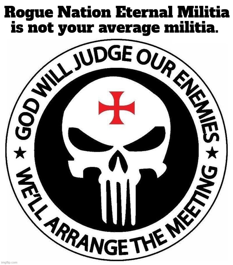 Rogue Nation Eternal Militia is not your average militia. | image tagged in rogue one,rogue nation eternal militia,militia,2nd amendment,gun rights,self defense | made w/ Imgflip meme maker
