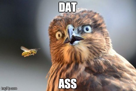 DAT ASS | image tagged in dat ass | made w/ Imgflip meme maker