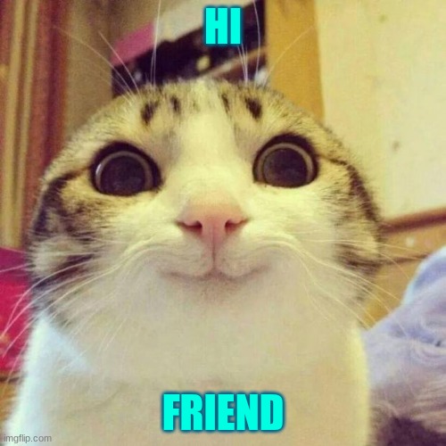 Smiling Cat | HI; FRIEND | image tagged in memes,smiling cat | made w/ Imgflip meme maker