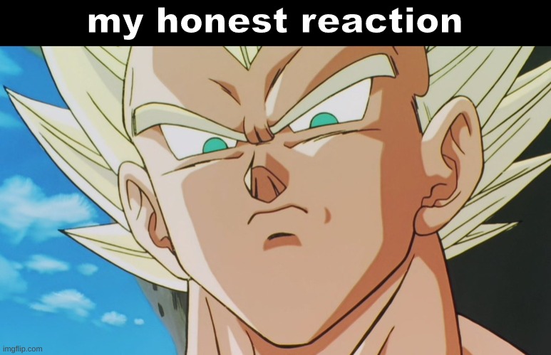 Vegeta my honest reaction | image tagged in vegeta my honest reaction | made w/ Imgflip meme maker