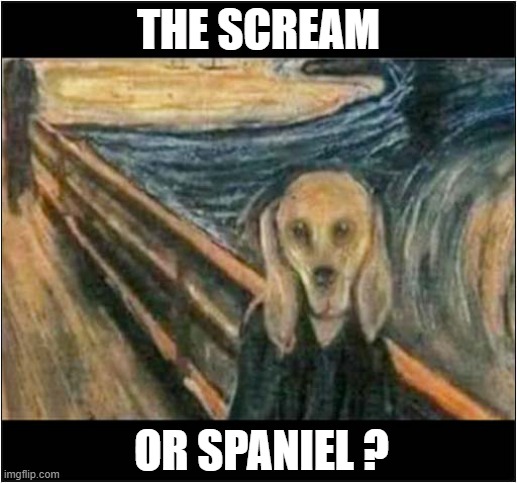 Not What It Seems | THE SCREAM; OR SPANIEL ? | image tagged in dogs,the scream,spaniel | made w/ Imgflip meme maker