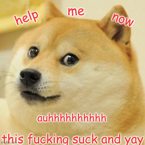 Doge Meme | me; help; now; auhhhhhhhhhh; this fucking suck and yay | image tagged in memes,doge | made w/ Imgflip meme maker