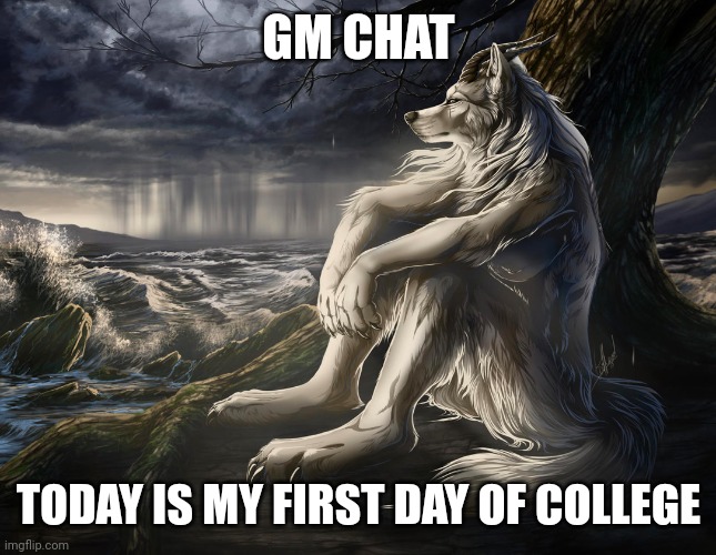 Sitting Wolf | GM CHAT; TODAY IS MY FIRST DAY OF COLLEGE | image tagged in sitting wolf | made w/ Imgflip meme maker