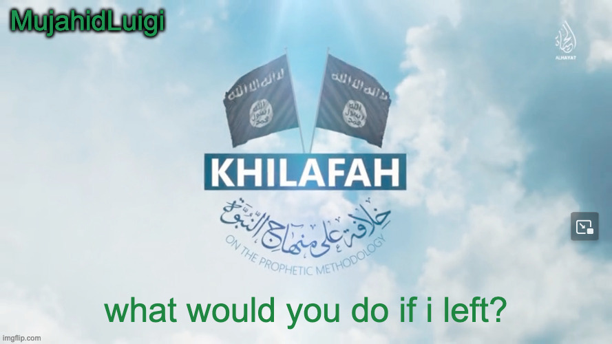 MujahidLuigi announcement template | what would you do if i left? | image tagged in mujahidluigi announcement template | made w/ Imgflip meme maker